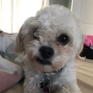 Meet your Posher, Roselinett